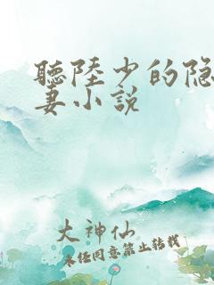 听陆少的隐婚罪妻小说