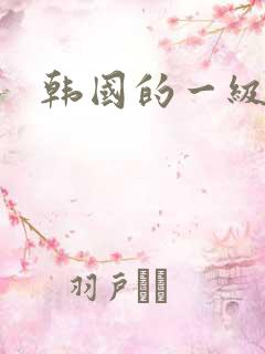 韩国的一级片