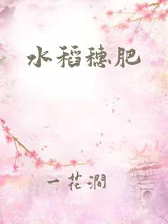 水稻穗肥