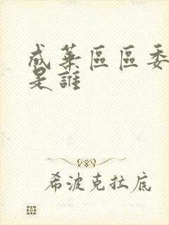 成华区区委书记是谁