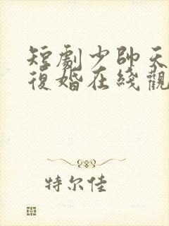 短剧少帅天天求复婚在线观看