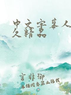 中文字幕人妻久久精品