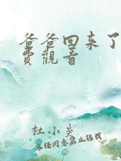 爸爸回来了2免费观看
