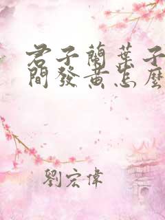 君子兰叶子从中间发黄怎么办
