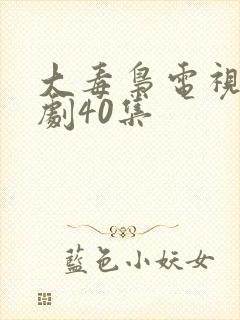 大毒枭电视连续剧40集