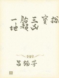一胎三宝总裁爹地超凶