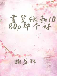 画质4k和1080p哪个好