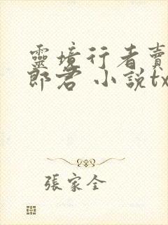灵境行者卖报小郎君 小说txt