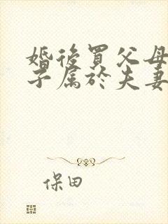 婚后买父母的房子属于夫妻共同财产吗