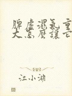 脾虚湿气重肚子大怎么让它快速下降
