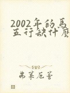 2002年的马五行缺什么