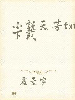 小说天芳txt下载