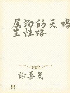 属狗的天蝎座男生性格