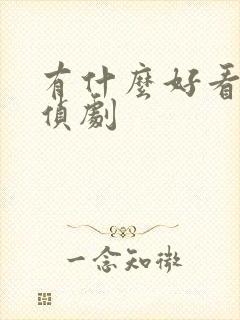 有什么好看的刑侦剧