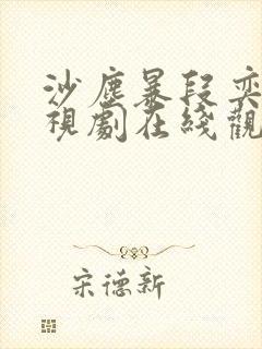 沙尘暴段奕宏电视剧在线观看免费