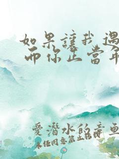如果让我遇见你 而你正当年轻