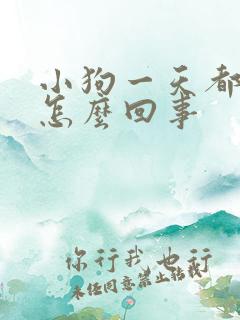 小狗一天都不尿怎么回事