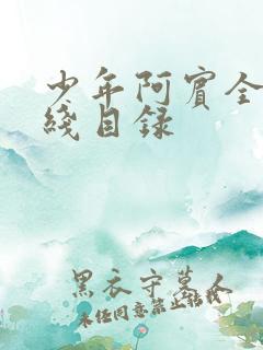 少年阿宾全文在线目录