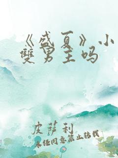 《盛夏》小说是双男主吗