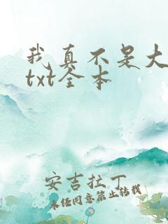 我真不是大明星txt全本