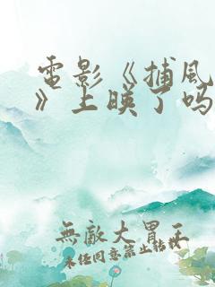 电影《捕风追影》上映了吗 电影《捕风追影》上映了吗