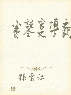 小说穹顶之上免费全文下载