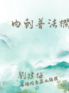 肉刺普法栏目剧