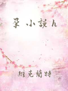 孕 小说 h
