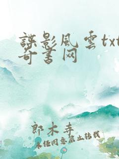 谍影风云txt奇书网