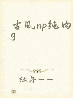 古风np纯肉bg