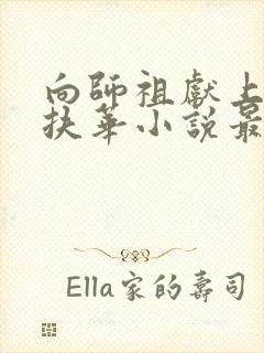 向师祖献上咸鱼扶华小说最新篇章