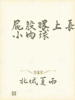 屁股眼上长了个小肉球