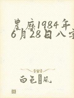 农历1984年6月28日八字算命