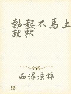 勃起不马上插入就软