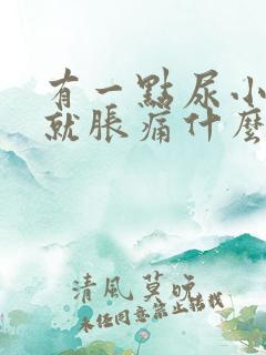 有一点尿小肚子就胀痛什么原因