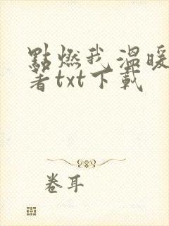 点燃我温暖你原著txt下载