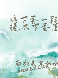 鸡下蛋一段时间后,不下蛋怎办