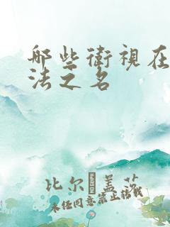 哪些卫视在播以法之名
