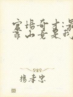 官场奇才:最强靠山竟是我自己李澜小说