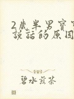 2岁半男宝宝不说话的原因