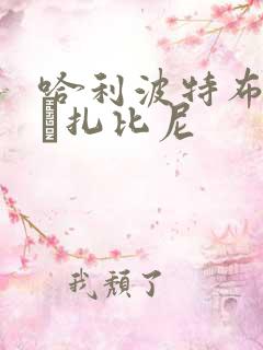 哈利波特布雷斯·扎比尼