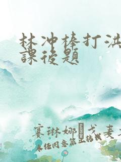 林冲棒打洪教头课后题