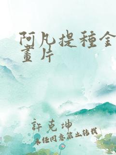 阿凡提种金子动画片