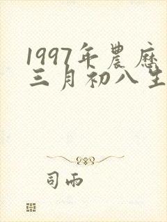 1997年农历三月初八生辰八字