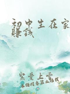 初中生在家如何赚钱