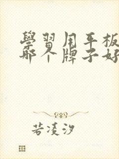 学习用平板电脑哪个牌子好用又实惠