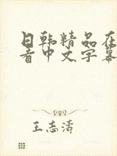 日韩精品在线观看中文字幕