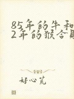 85年的牛和92年的猴合财吗