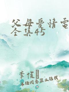 父母爱情电视剧全集45