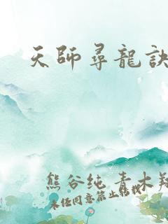 天师寻龙诀皮
